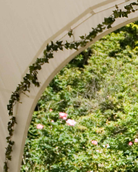 Ivy trim for capri marquee